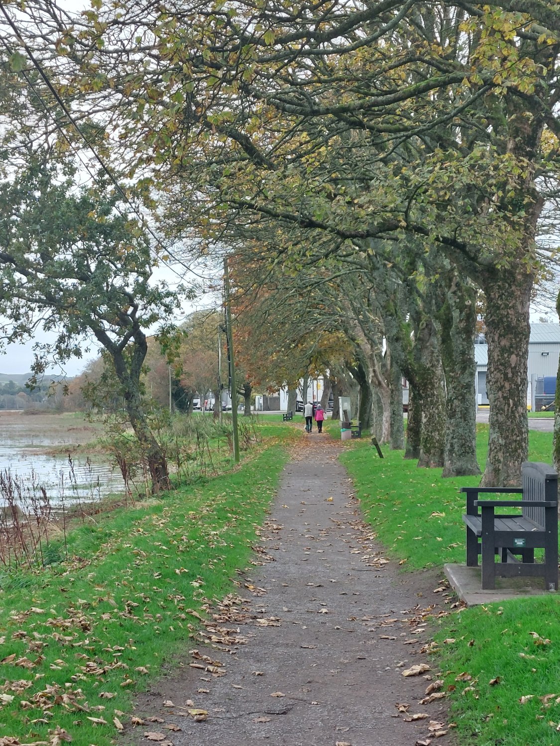 Solve Kirkcudbright jigsaw puzzle online with 99 pieces