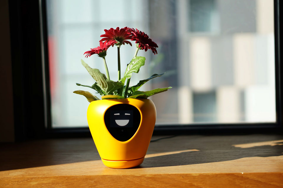 This Smart Planter Will Let You Know Its “Feelings” Via An Integrated