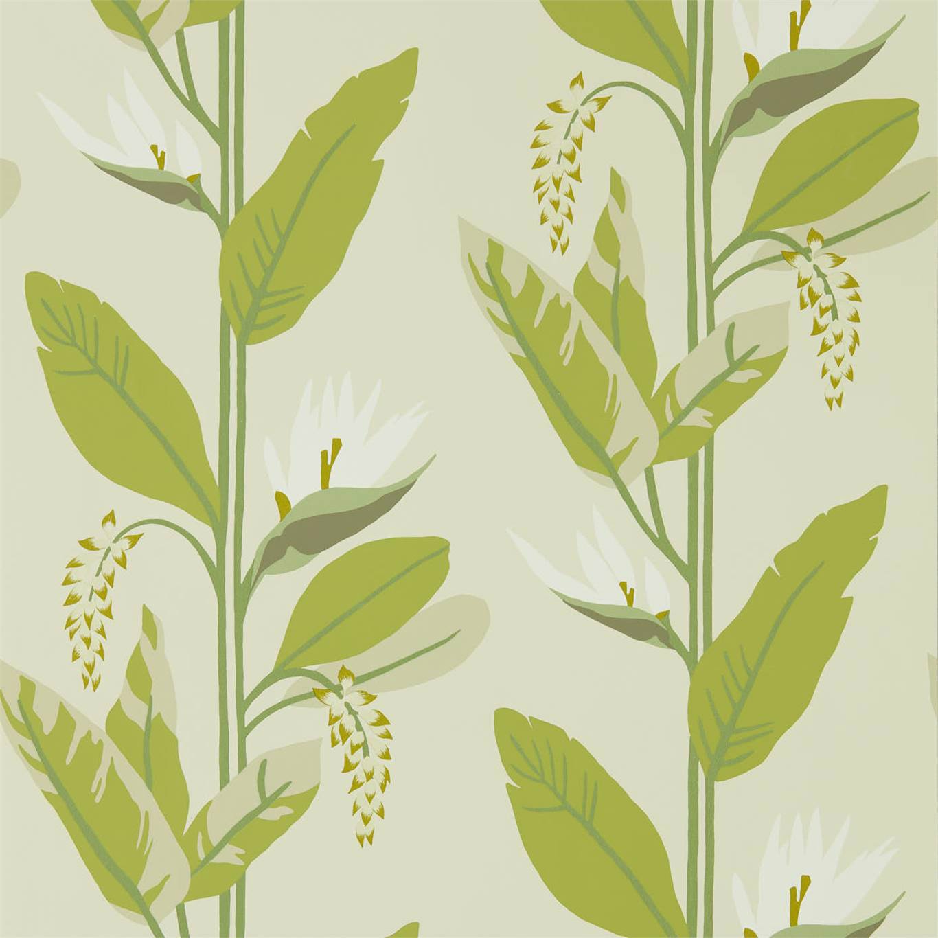 Llenya Lime/ Jade/ Pebble wallpaper Mirador Wallpapers Harlequin