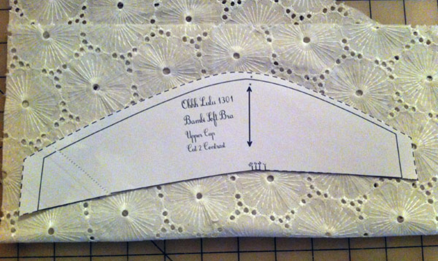 Bra Sewing Tutorial Learn to Make Your Own Sassy Bra