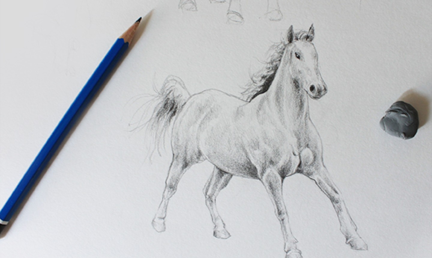 How To Draw A Realistic Horse Step By Step
