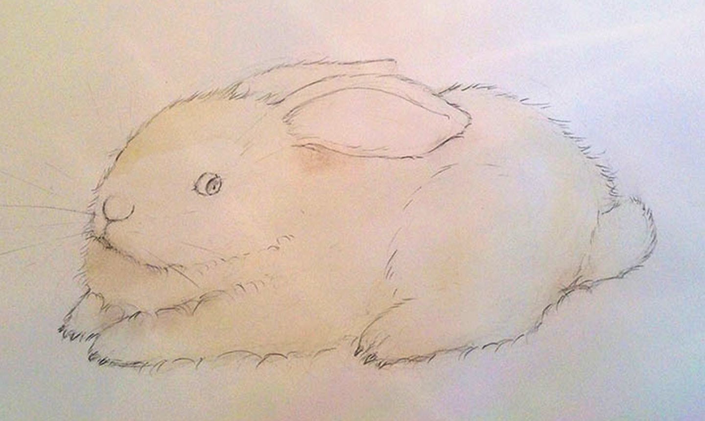 Painting A Rabbit Eye