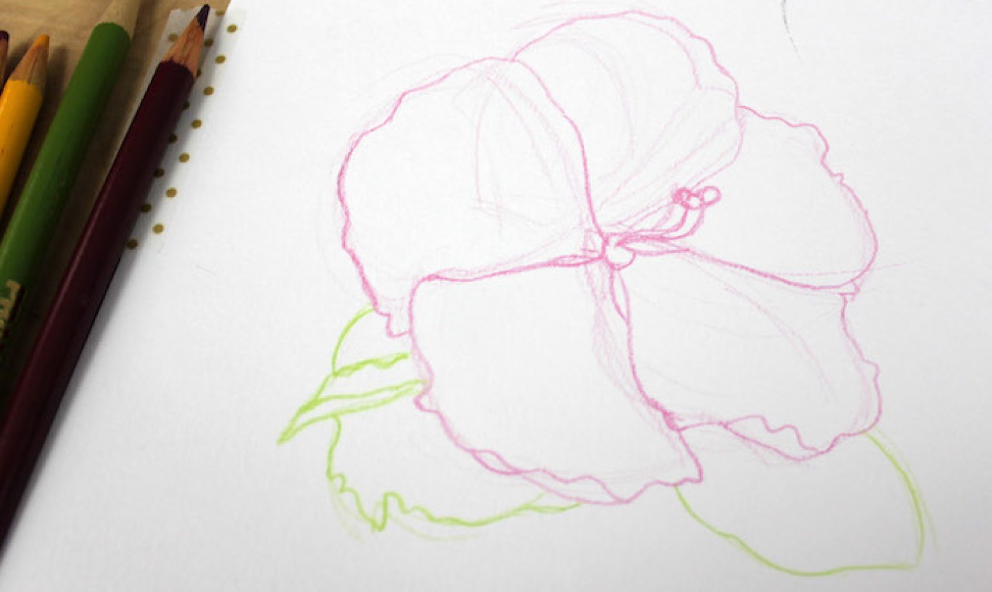 Simple Easy Flower Drawings In Pencil Step By Step