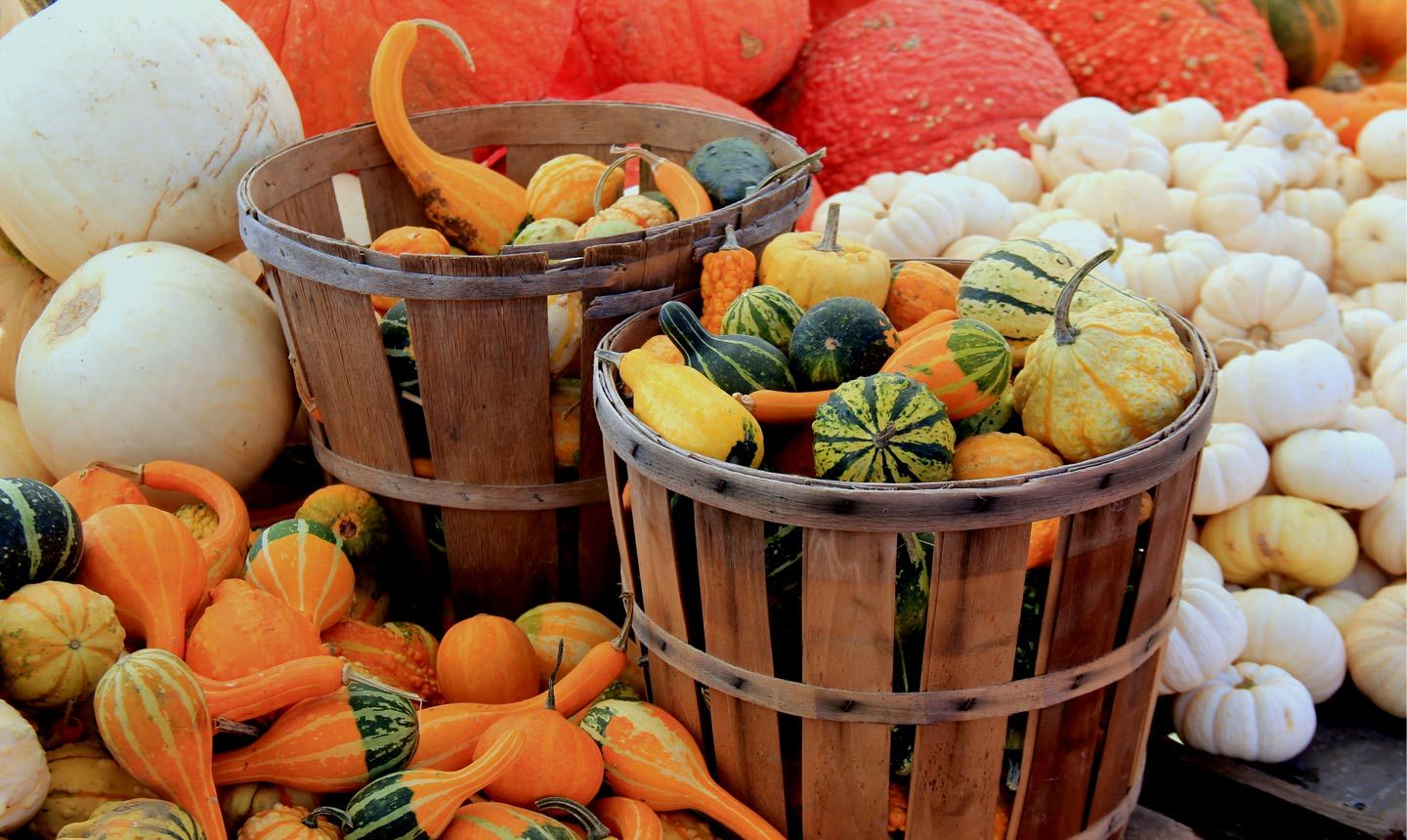 How to Enjoy the Full Experience of Local Markets How to Enjoy the Full Experience of Local Markets