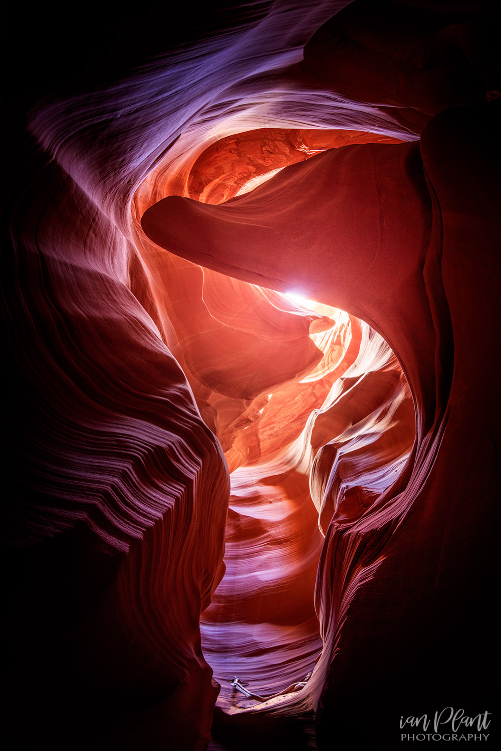 Tips to Photographing Light as Your Subject OPG