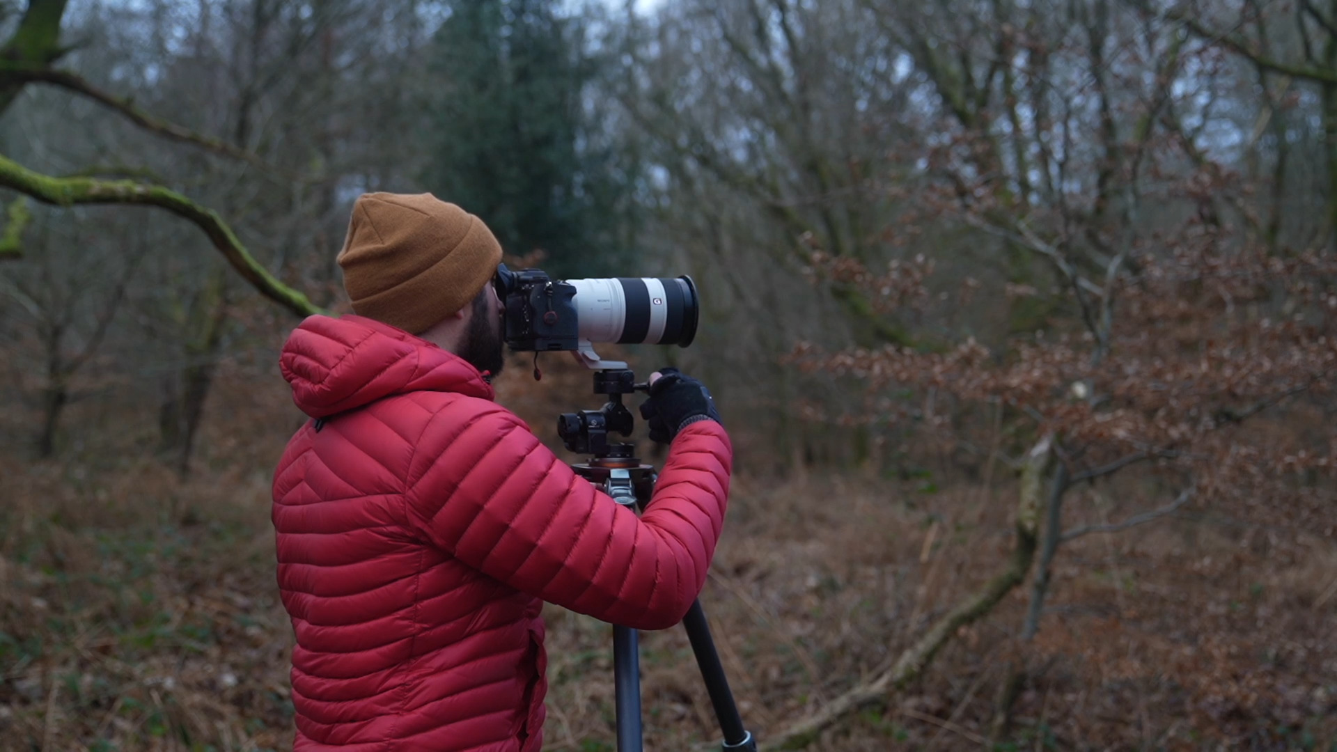 Using a Long Lens Shot Outdoor Photography Guide