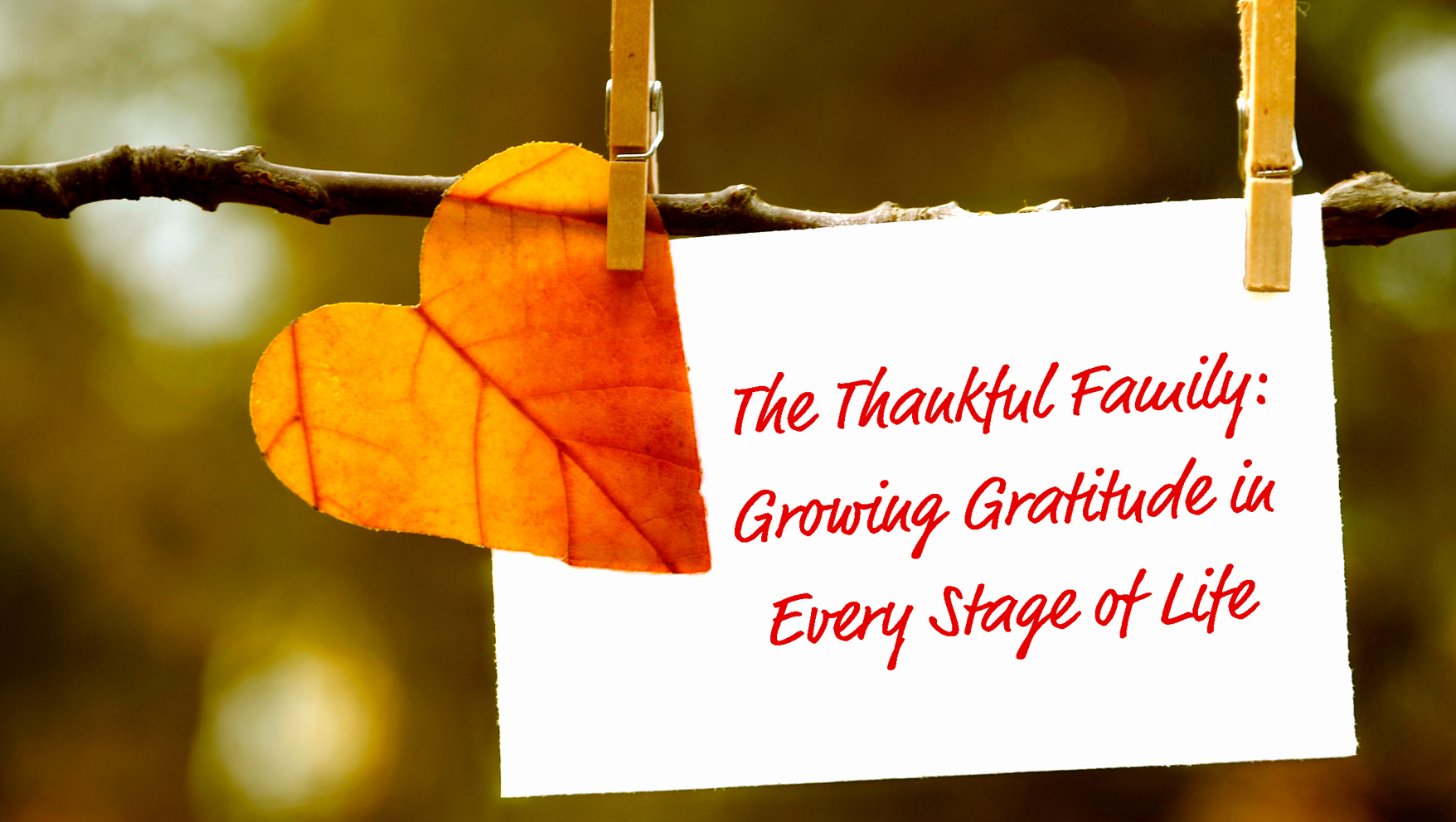 The Thankful Family Growing Gratitude in Every Stage of Life — Minno