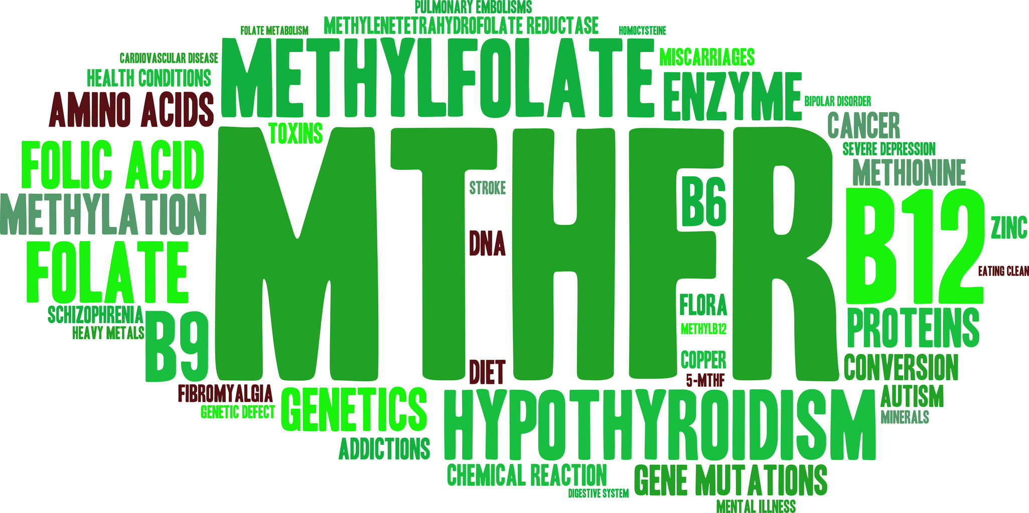 MTHFR Proper Supplementation Could Help NutraTalk Blog
