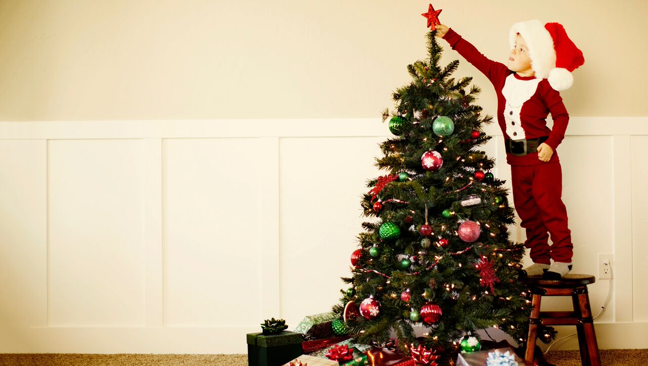 The History of Christmas Trees Jellytelly Parents