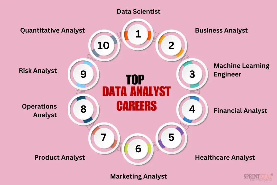 Career Path for Data Analyst A Comprehensive Guide for 2024
