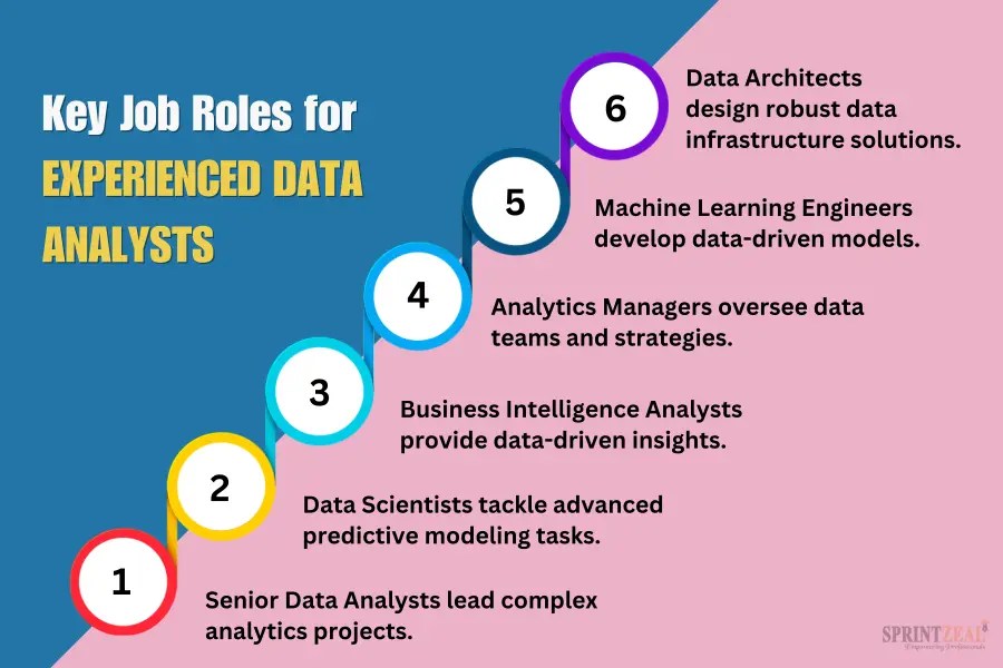 Career Path for Data Analyst A Comprehensive Guide for 2024