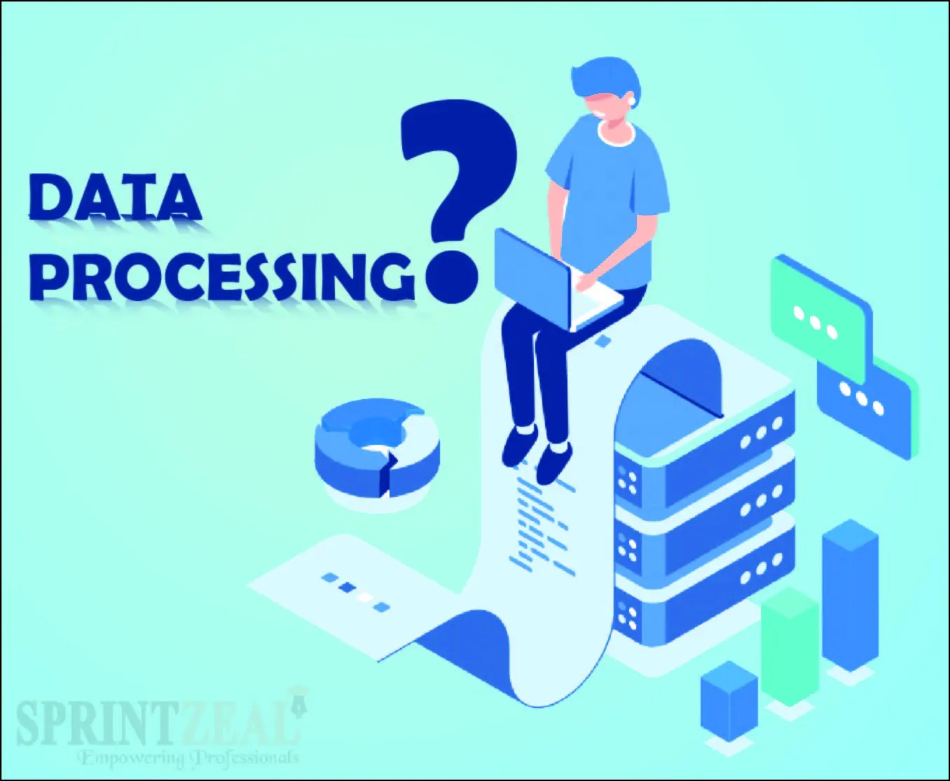 Data Processing Guide Sprintzeal
