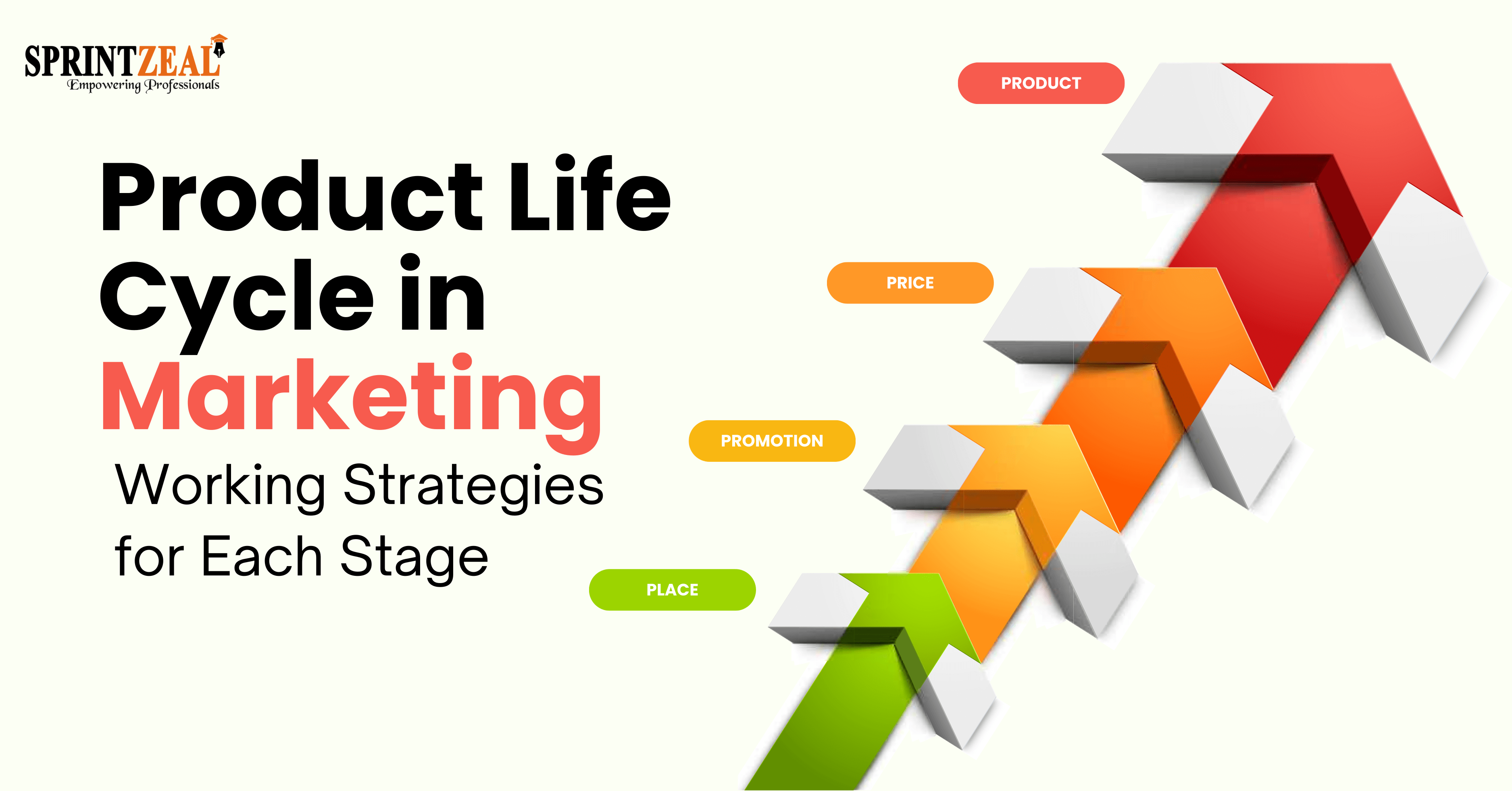 Product Life Cycle in Marketing Essential Product Marketing Strategies