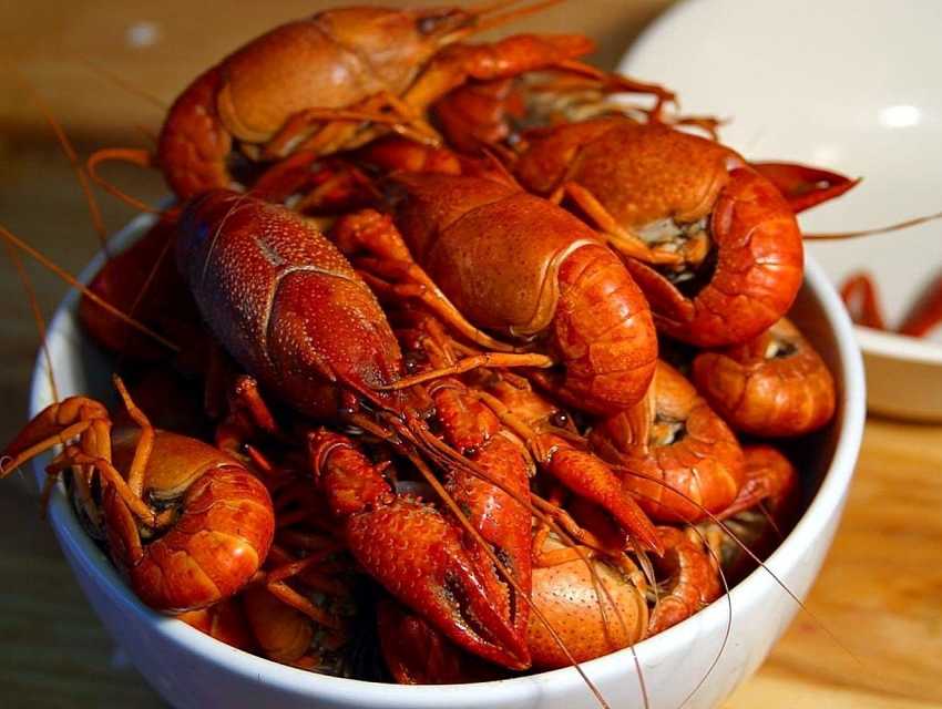 Peters Fish Market, Gold Coast cityseeker