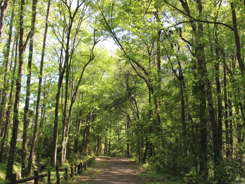 Springfield Conservation Nature Center, Springfield cityseeker