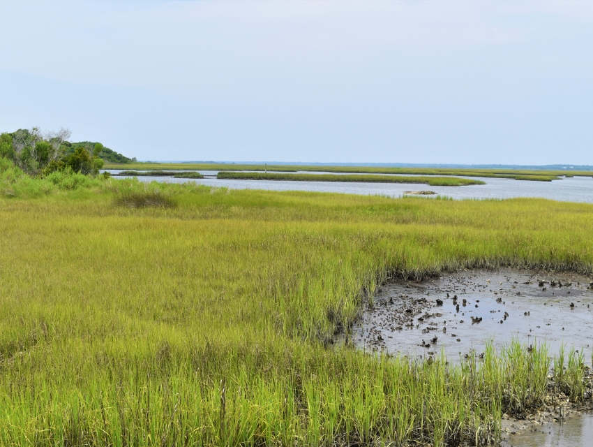 Hammocks Beach State Park, Swansboro, eventseeker