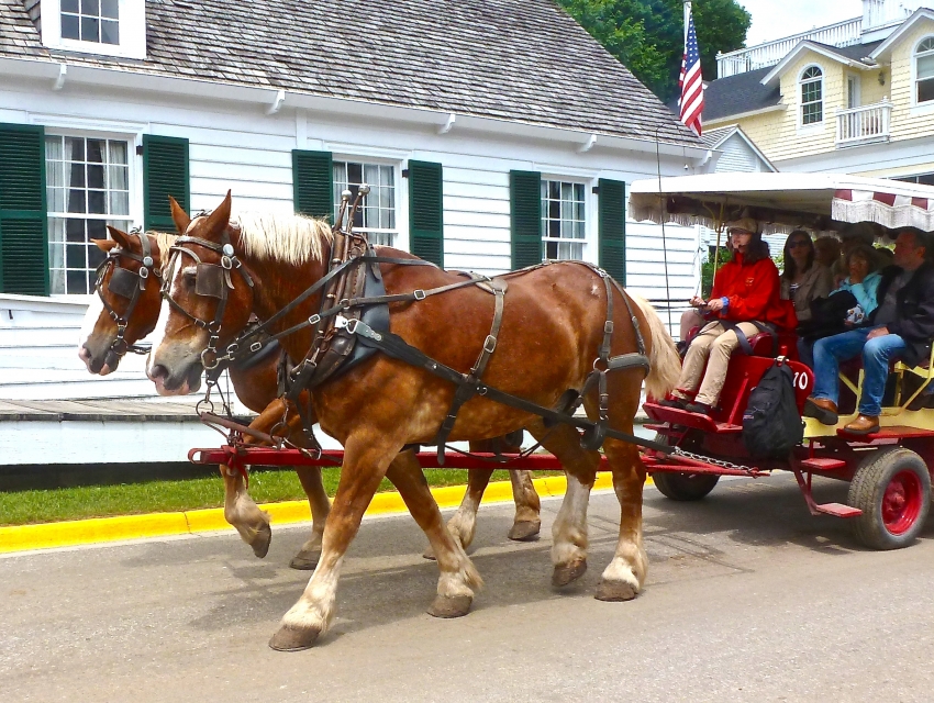 Mackinac Island Carriage Tours, Mackinac Island cityseeker