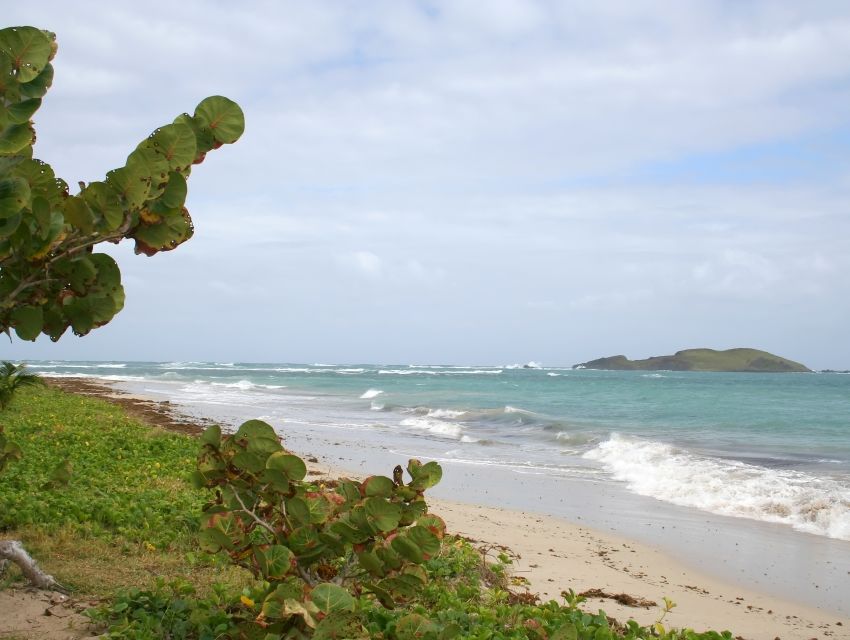 Anse Des Sables Beach, Saint Lucia cityseeker