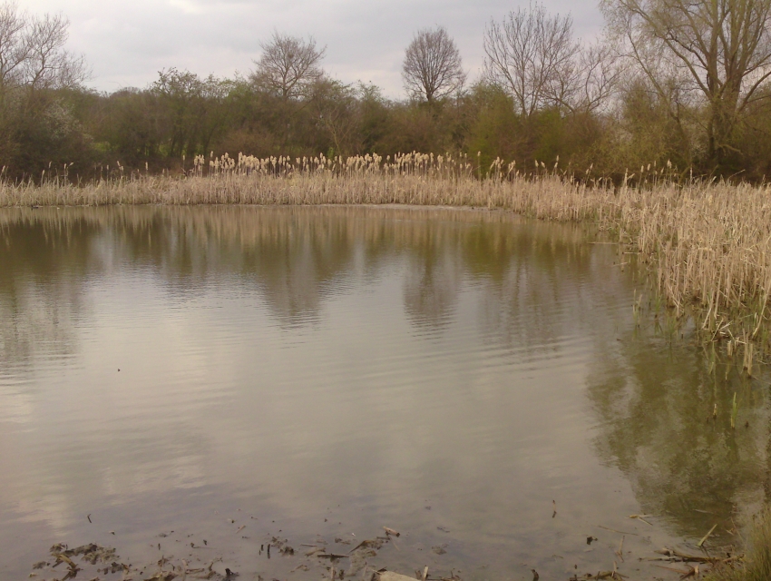 Horton Country Park, Epsom cityseeker