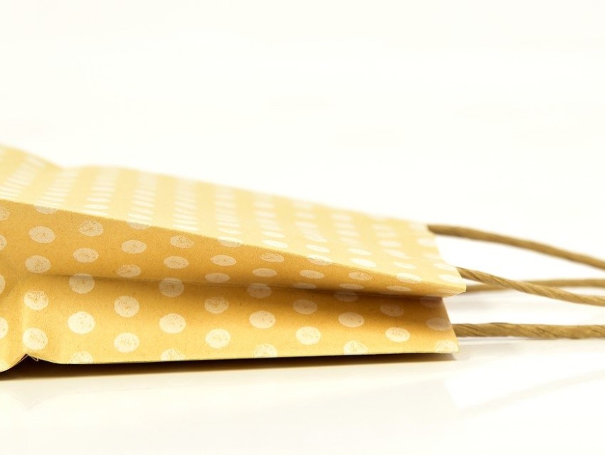 New Hampshire Humane Society, Laconia, eventseeker