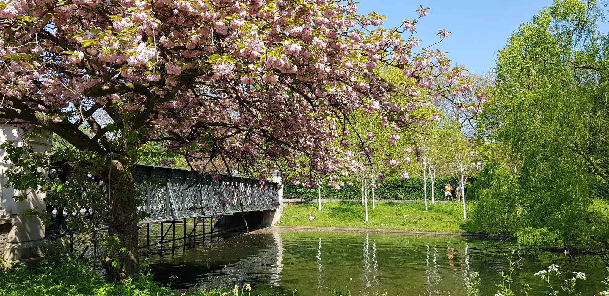 Top 20 Hikes and Walks around London Komoot