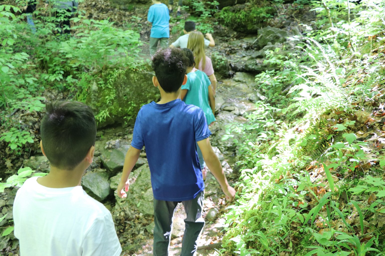 Bernheim Forest to hold firsttime summer camp Kentucky Living
