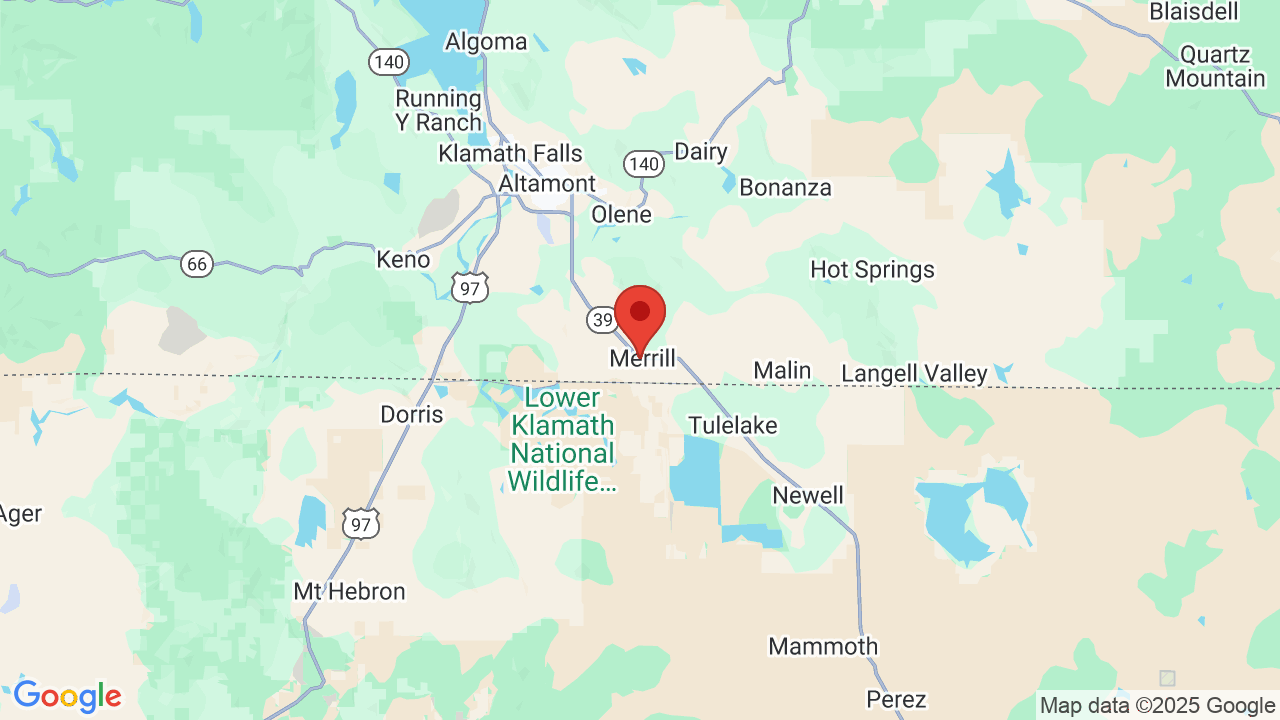 Merrill Mobile Manor & RV Park Campsite Photos