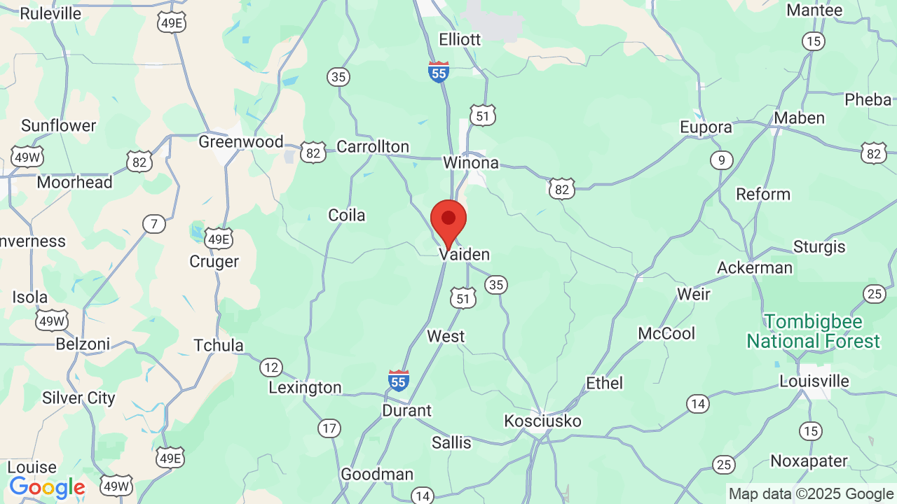 Vaiden Campground Campsite Photos