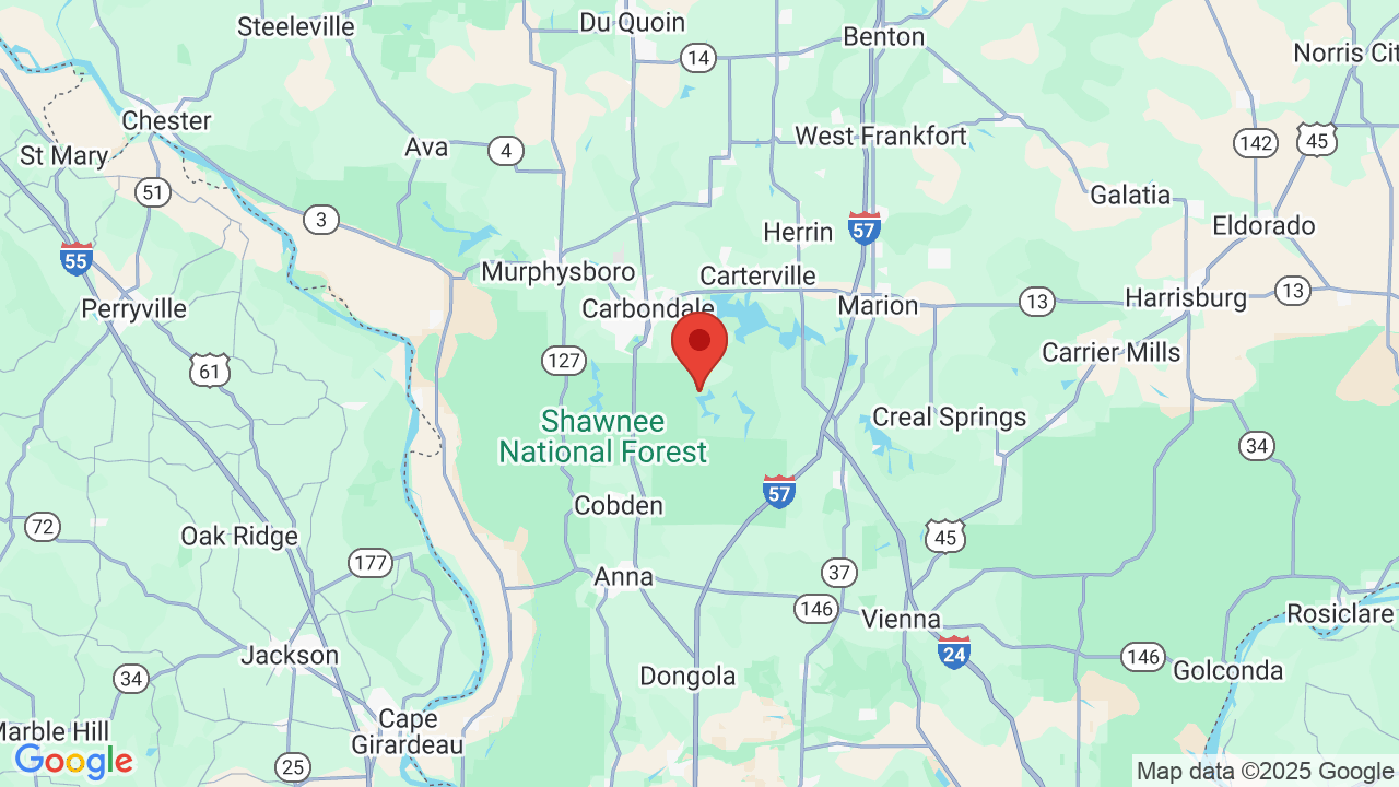 Little Grassy Lake Campground & Marina Campsite Photos