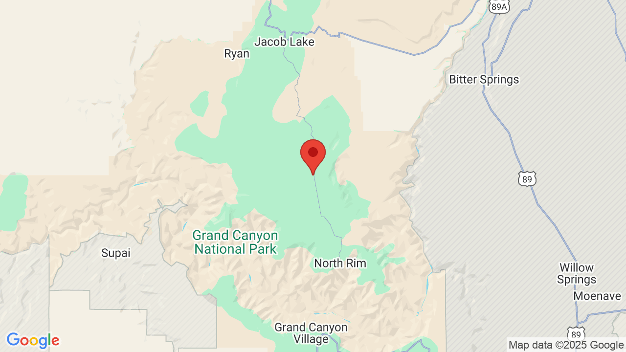 Demotte Campsite Photos, Campground Availability Alerts