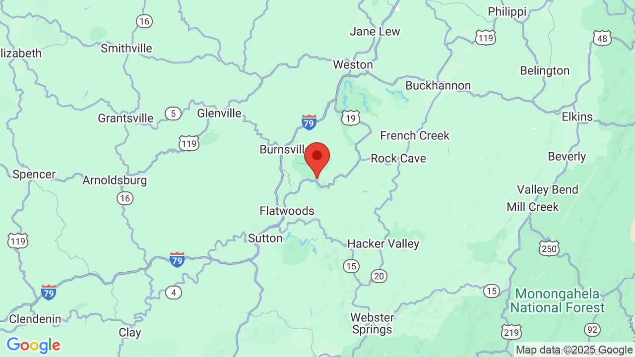 Burnsville Lake Shelters Campsite Photos