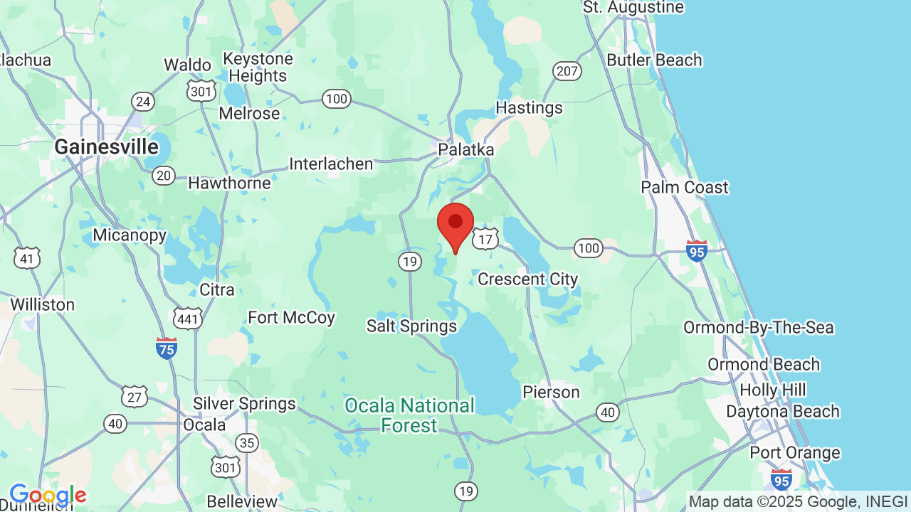 Equestrian Welaka State Forest Campsite Photos