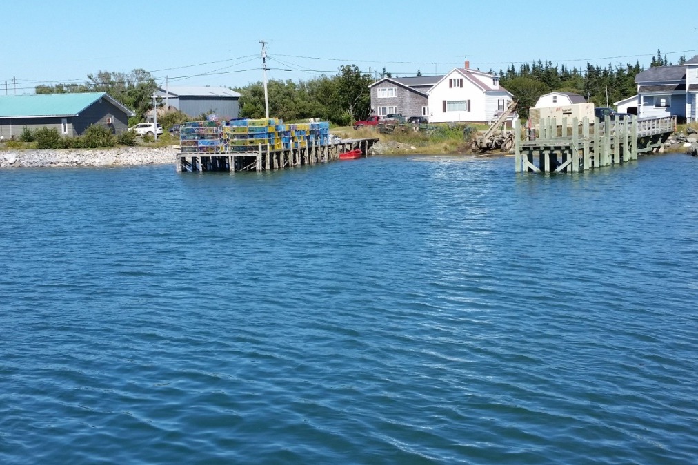 Fundraiser by Ian Bernard THE WHITE HEAD ISLAND PROJECT