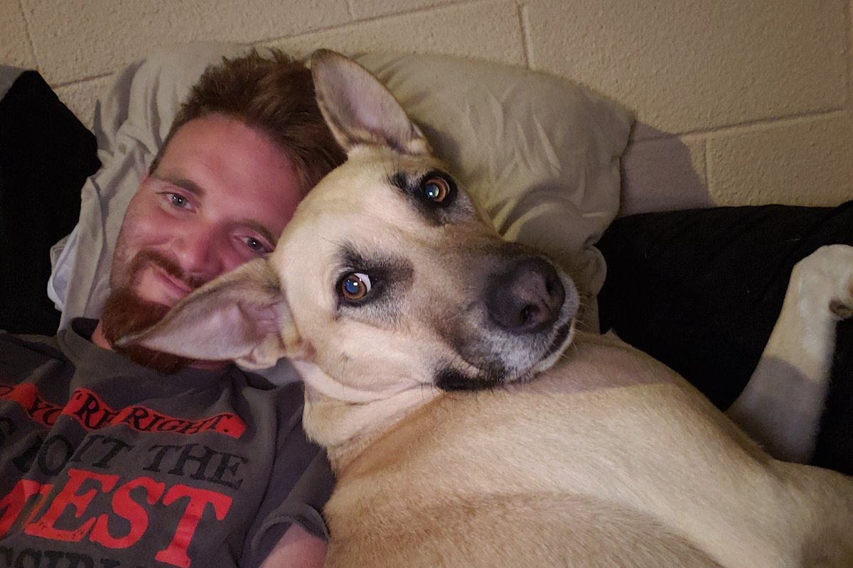 Fundraiser by Steven Scherdt Freya, the story of a veterans service dog
