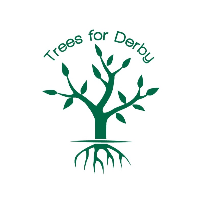 Fundraiser by Trees For Derby Trees for Derby Festive Launch Fund