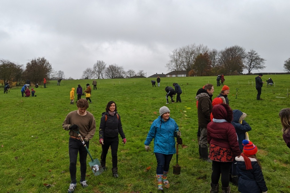 Fundraiser by Trees For Derby Trees for Derby Festive Launch Fund