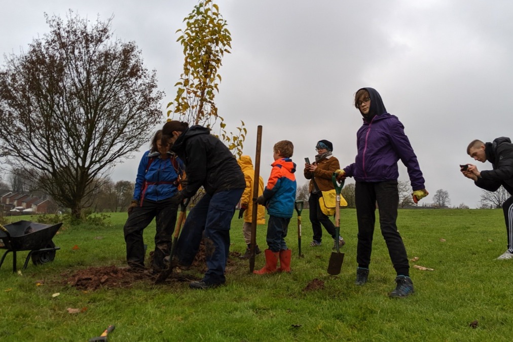 Fundraiser by Trees For Derby Trees for Derby Festive Launch Fund