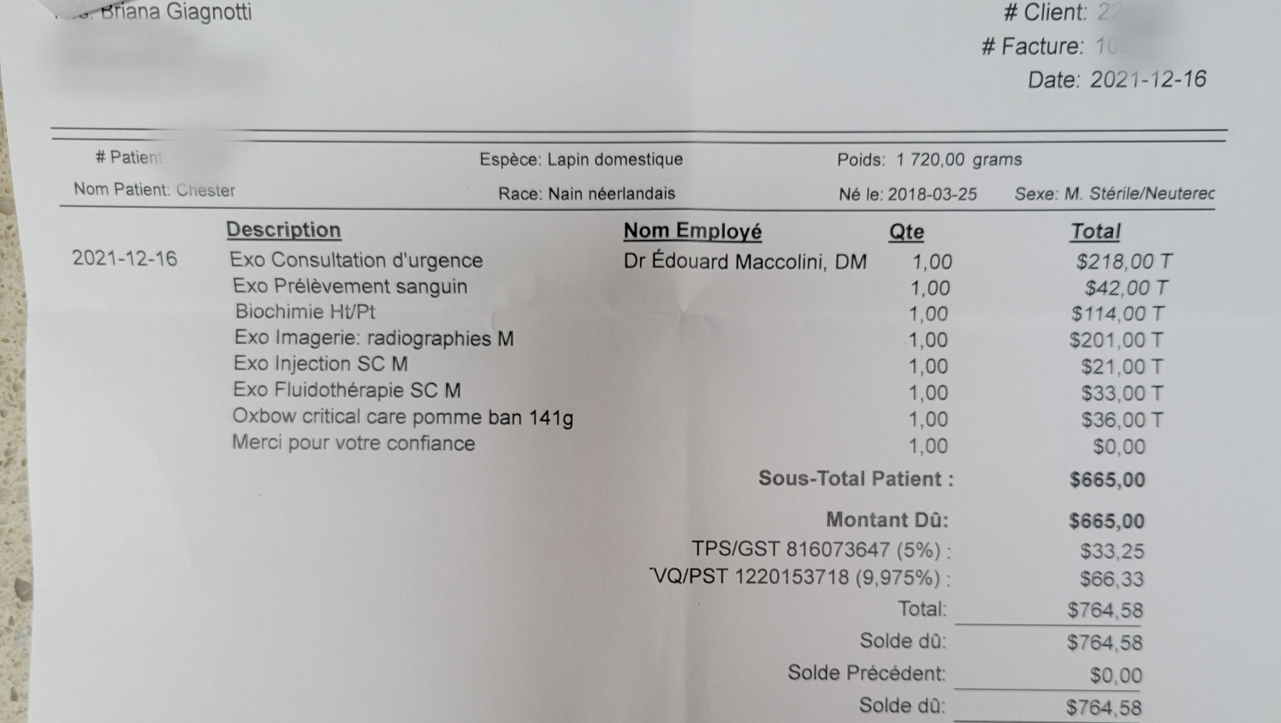 Fundraiser by Briana Giagnotti Chester's emergency vet bill