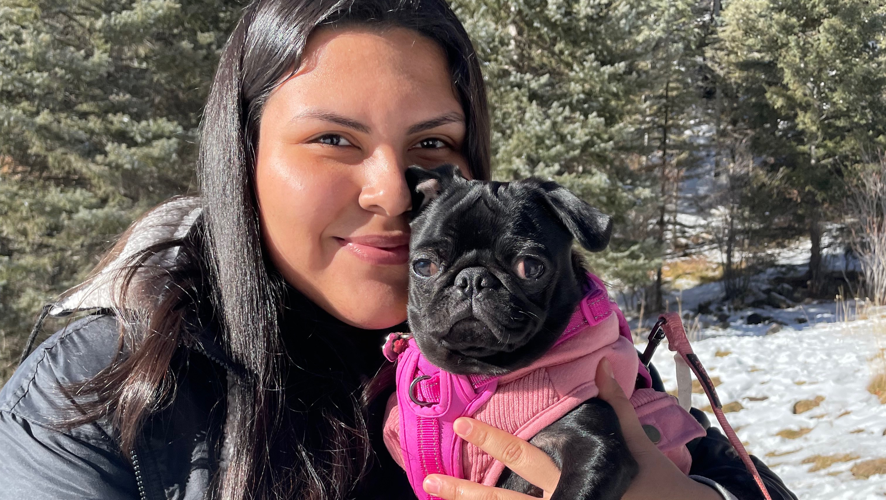 Fundraiser by Austin Massey Emergency Vet Bills For Nova