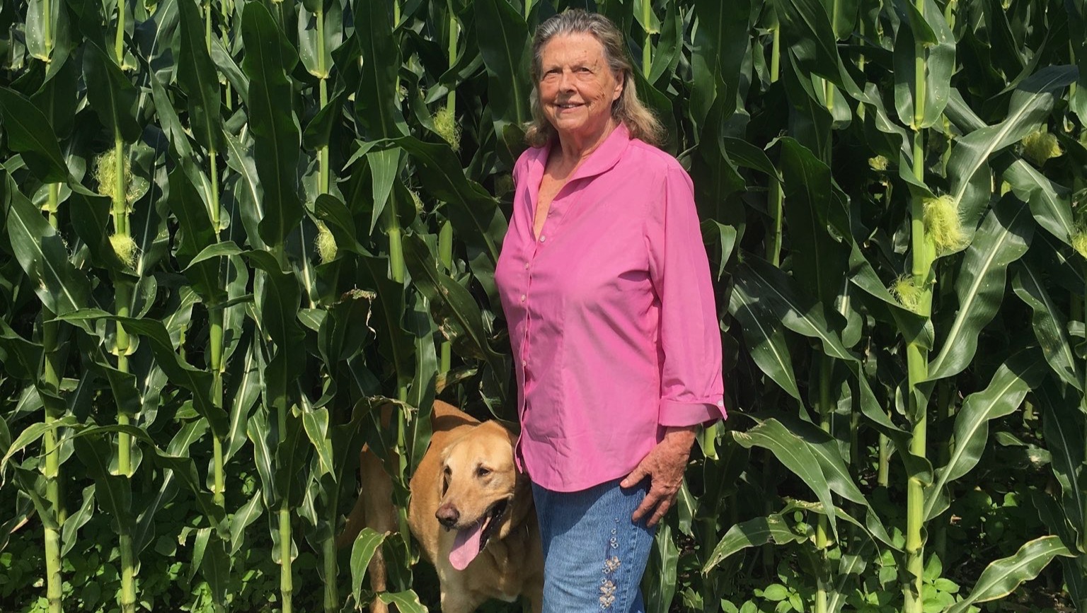 Fundraiser by Wes McClelland Jane Rogers McClelland