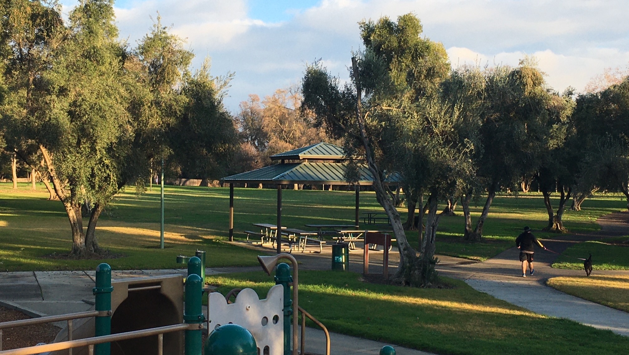 Fundraiser by John Hurley Maddox Park Tree Program