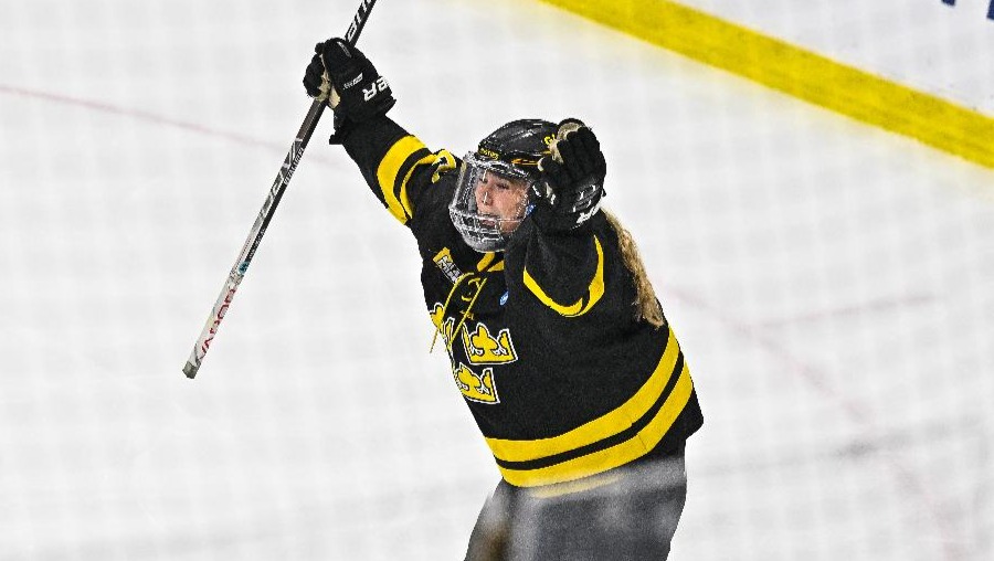 Fundraiser by Nichole Scott Support for Gustavus Hockey Families