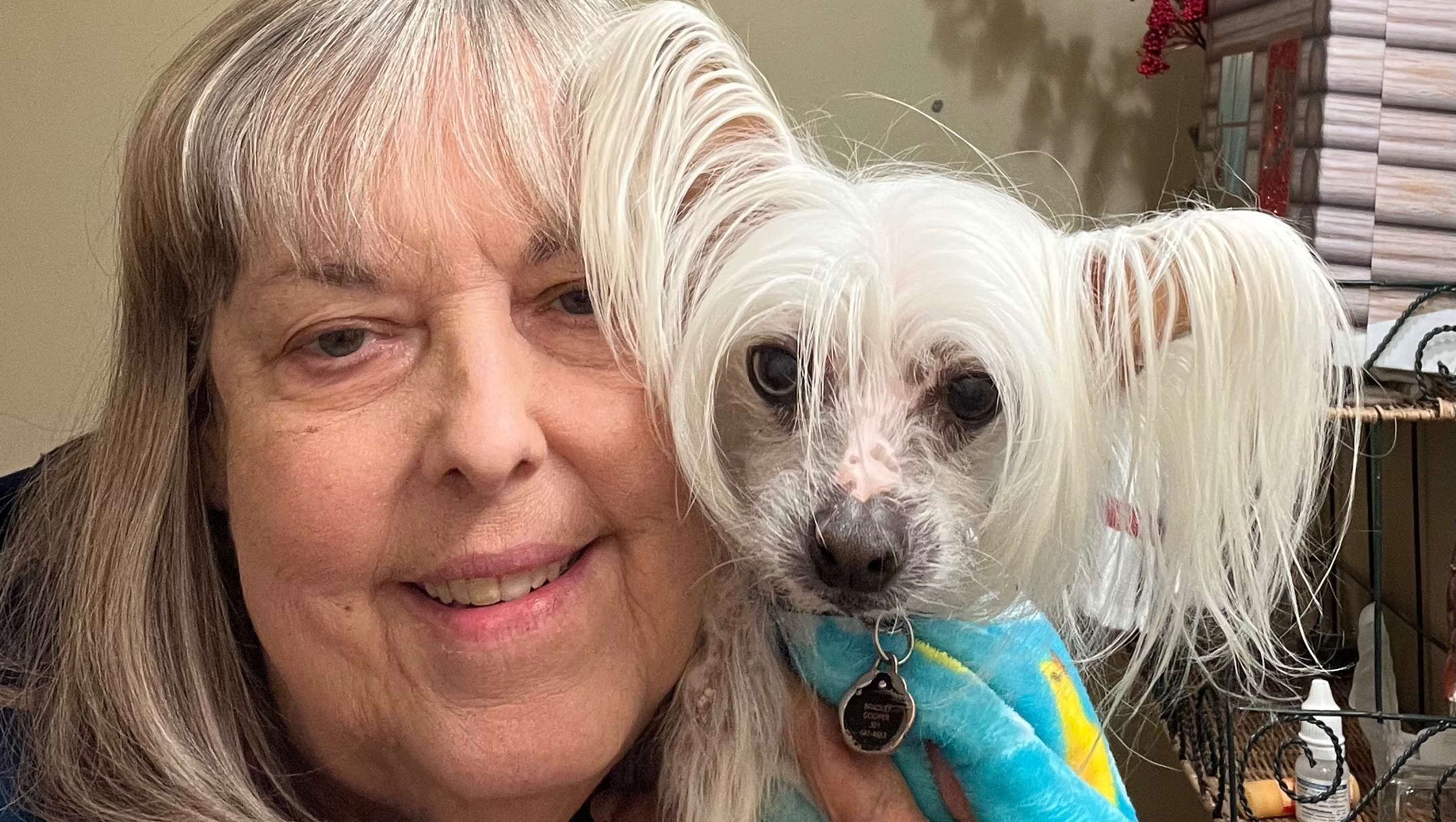 Fundraiser by Snell Desperately trying to save me and my dog