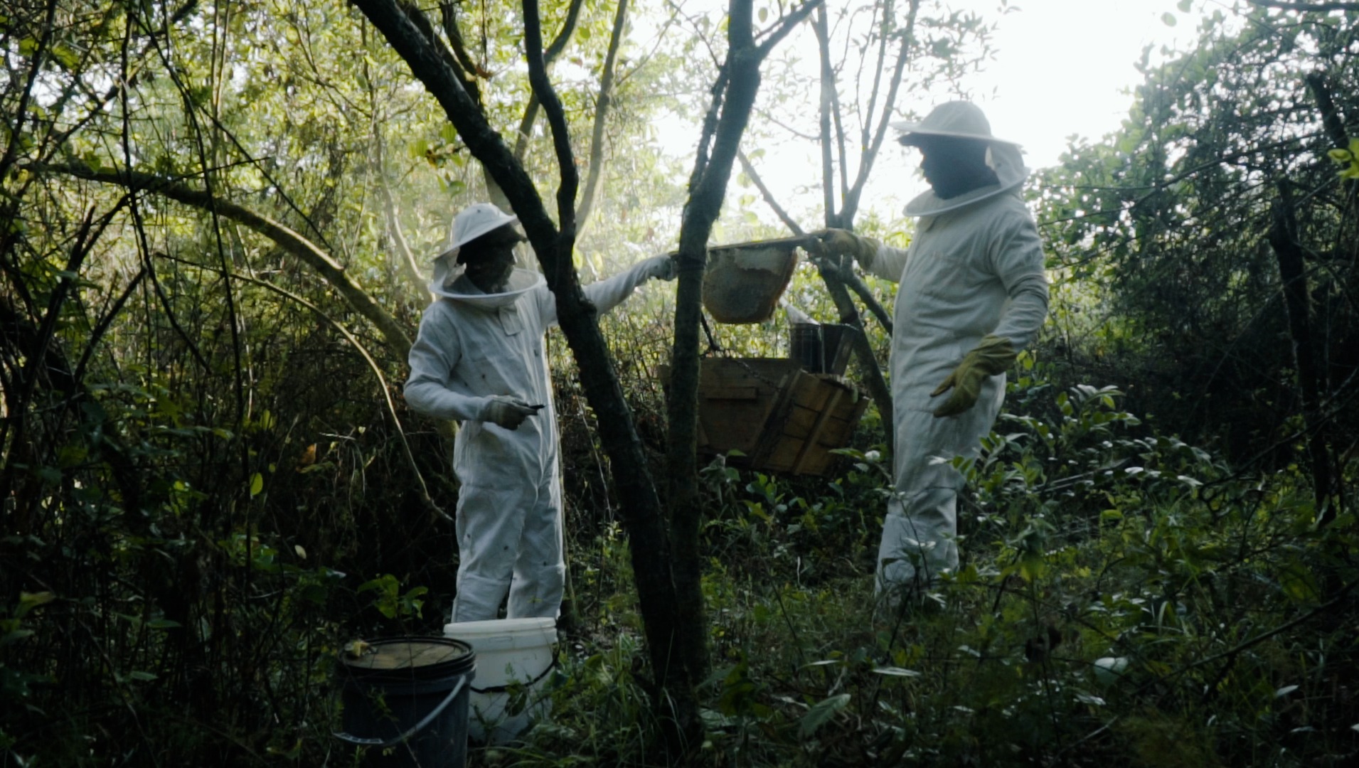 Fundraiser by Cian Hamilton Beekeeping Community Development Zimbabwe