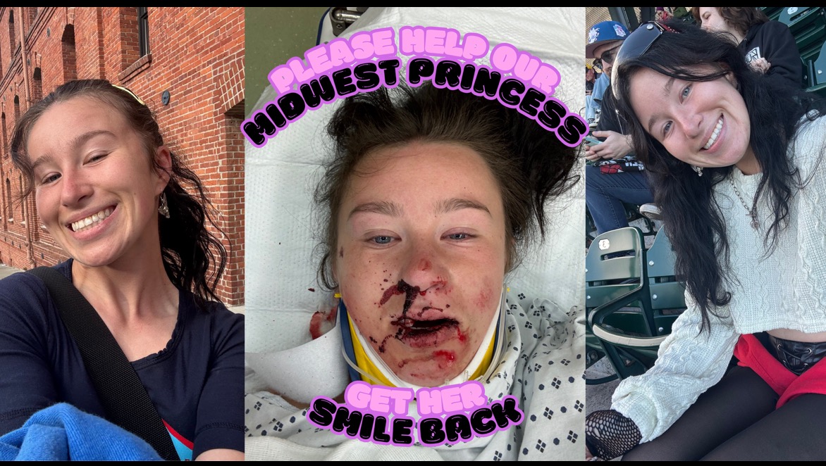 Fundraiser by Alyson Tidwell Bring Back Reese Smile