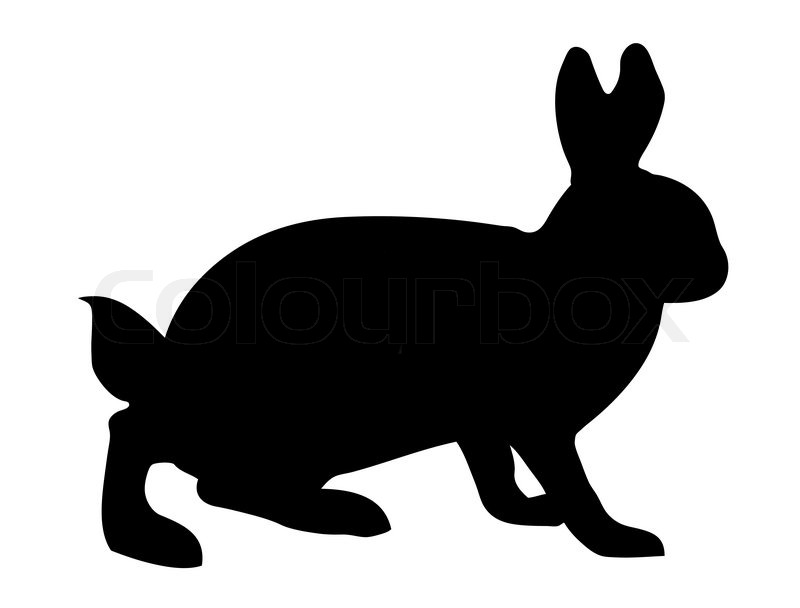 VektorIllustration Hasen auf weißem Hintergrund Colourbox