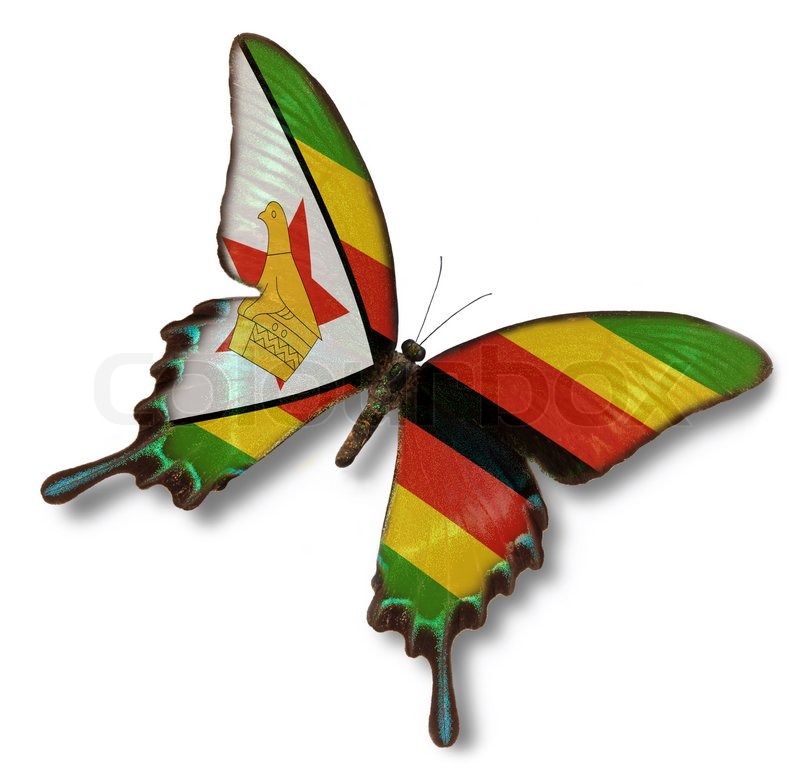 Zimbabwe flag on butterfly isolated on white Stock Photo Colourbox