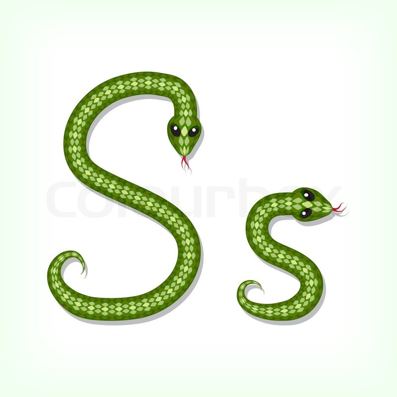 S-Snake One Piece Wiki Fandom