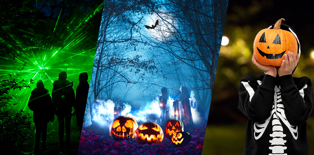 Halloween at Moors Valley tickets Tours and Events Ticketek UK