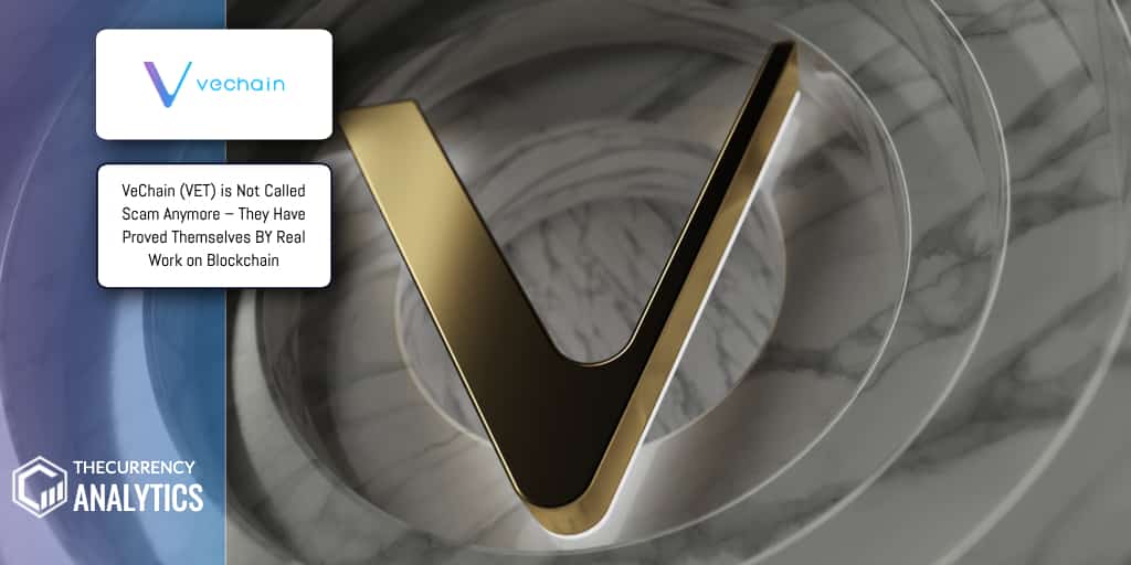 VeChain (VET) is Not Called Scam Anymore They Have